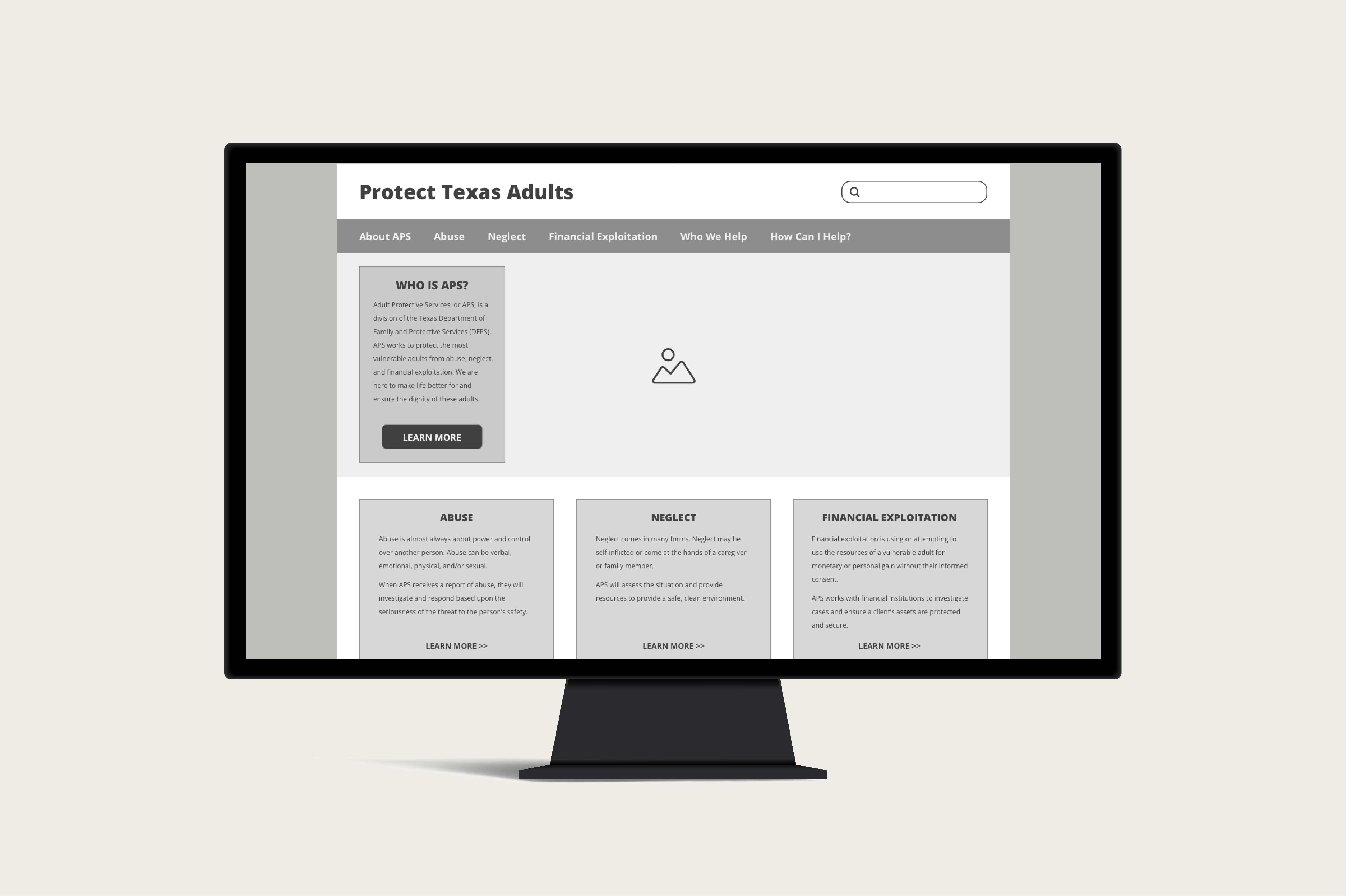 aps website mockup